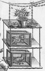 Experimentando com eletricidade, placa de Essai sur lelectricite des corps por Abade Jean Antoine Nollet, detalhe de animais em gaiolas, detalhe de 1749 gravura de 224419 de Gobin